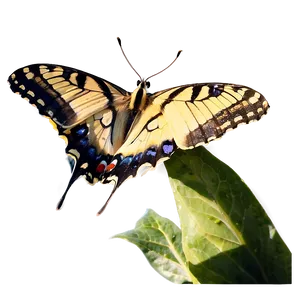 Butterfly In Nature Png 48 PNG Image