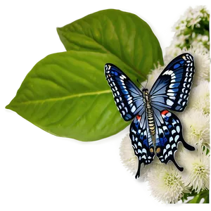 Butterfly In Nature Png 49 PNG Image