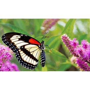 Butterfly In Nature Png Pvi49 PNG Image