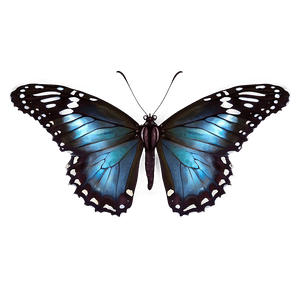 Butterfly Landing PNG eyx84 PNG image with transparent background