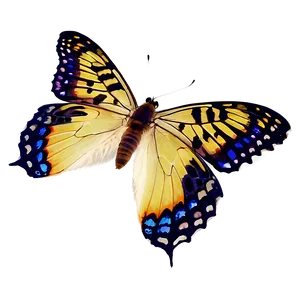 Butterfly Landing Png Qco35 PNG Image