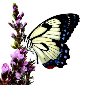 Butterfly On Heather Png Wdd55 PNG Image