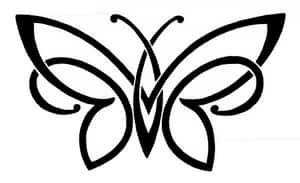 Butterfly PNG PNG Images