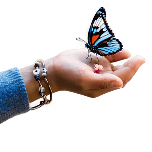 Butterfly Release Memorial PNG 16 PNG with transparent background