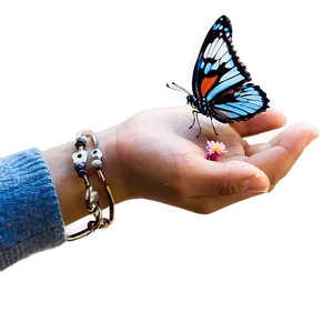 Butterfly Release Memorial Png 16 PNG Image