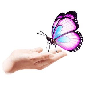 Butterfly Release Memorial PNG vum28 PNG with transparent background