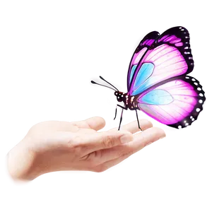 Butterfly Release Memorial Png Vum28 PNG Image