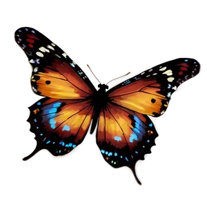 Butterfly Spectacle Png 58 PNG Image