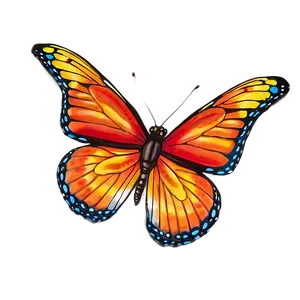 Butterfly Splendor Png 10 PNG Image