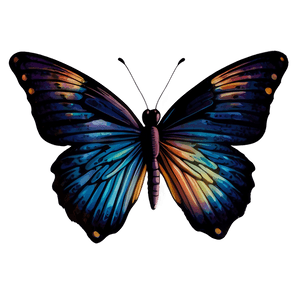 Butterfly Symbol PNG 86 PNG with transparent background