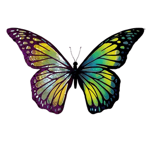 Butterfly Wings PNG 05032024 PNG image with transparent background