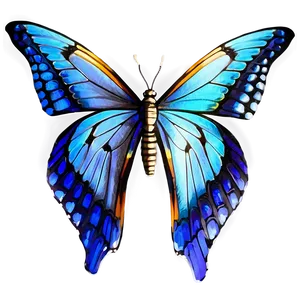 Butterfly Wings Spread Png Dxs87 PNG Image