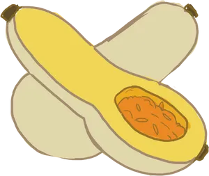 Butternut Squash Half Illustration PNG Image