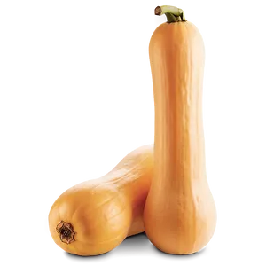 Butternut Squash Png Nko45 PNG Image