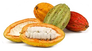 Cacao Podsand Beans.png PNG Image