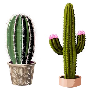 Cacti B PNG Image