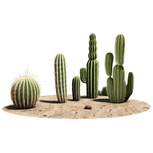 Cactus Garden Scene Png 06282024 PNG Image