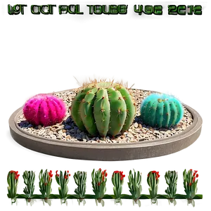 Cactus Garden Scene Png 13 PNG Image