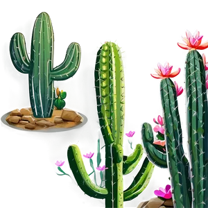 Cactus Garden Scene Png Fwp24 PNG Image