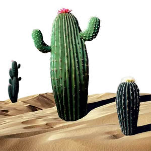 Cactus In Desert Dunes Png Tml PNG Image