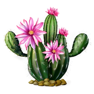 Cactus With Pink Flowers Png Ytk66 PNG Image