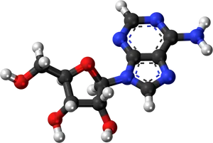 Caffeine Molecule Structure PNG Image