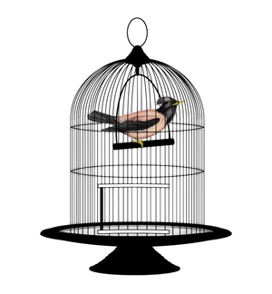 Caged Bird Illustration PNG Image