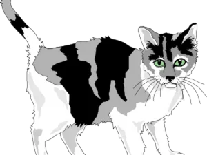 Calico Cat Illustration PNG Image