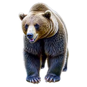 California Bear Illustration Png Cef56 PNG Image