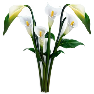 Calla Lily Arrangement Png 06282024 PNG Image