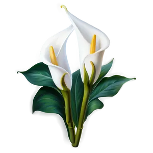 Calla Lily Flower Png 60 PNG Image