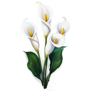 Calla Lily Garden Png Mby PNG Image