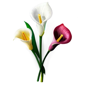 Calla Lily Sketch Png 06282024 PNG Image