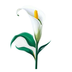 Calla Lily Vector Png Mme PNG Image