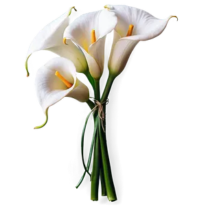 Calla Lily Wedding Bouquet Png 44 PNG Image