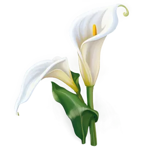 Calla Lily Wedding Bouquet Png Tyo2 PNG Image