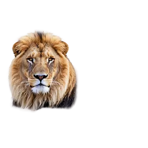 Calm Lion Face Png 94 PNG Image