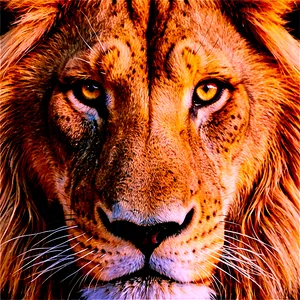 Calm Lion Face Png Myh PNG Image