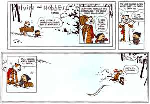 Calvin And Hobbes Last Comic Strip, HD Png Download PNG image with transparent background