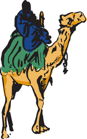 Camel Man Riding Free Photo - Cama Camel Transparent, HD Png Download PNG image with transparent background