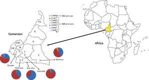 Cameroon Economic Indicators Africa Map PNG Image