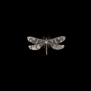 Camouflaged Dragonflyon Black Background PNG image with transparent background