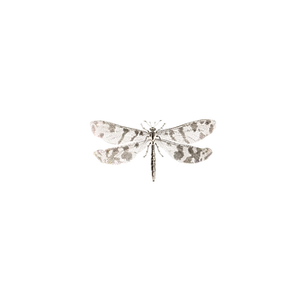 Camouflaged Dragonflyon Black Background PNG Image