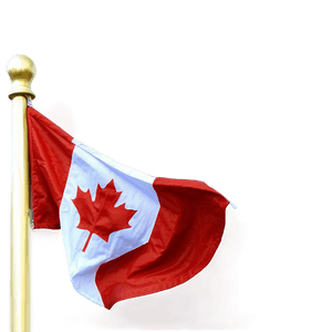 Canada Flag Maple Leaf Close-Up PNG 1 PNG image with transparent background