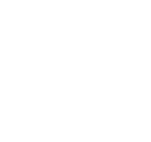 Canadian Paint And Coatings Association Canadian Paint - Canada Flag, HD Png Download PNG image with transparent background