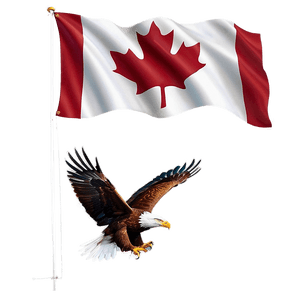 Canada Flag with Eagle PNG drv PNG image with transparent background
