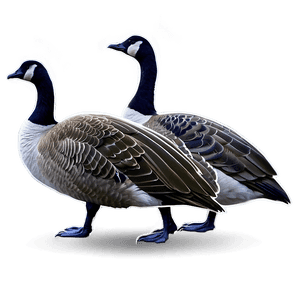 Canada Goose Silhouette PNG cog32 PNG image with transparent background