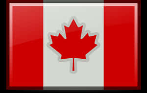 Canadian Flag Graphic PNG image with transparent background