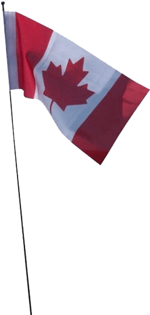 Canada Flag Png Free Background - Canada Flag, Transparent Png PNG image with transparent background