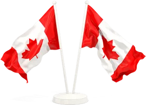 Canadian Flagson Stands PNG Image